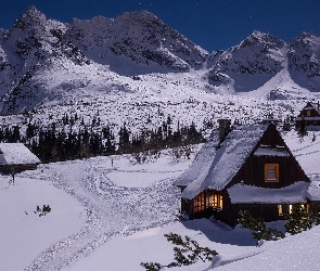 Góry, Polska, Drzewa, Dolina Zielona Gąsienicowa, Zima, Domy, Tatry