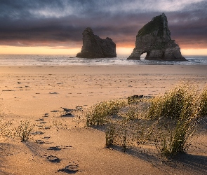 Plaża, Wybrzeże, Morze Tasmana, Nowa Zelandia, Chmury, Trawa, Skały, Ślady, Wharariki Beach