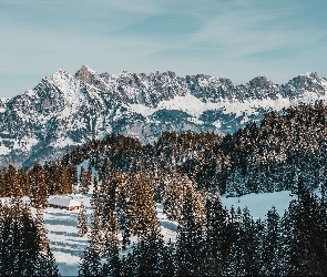 Zima, Śnieg, Góry, Dom, Las, Drzewa