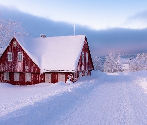 Dom, Śnieg, Drzewa, Droga