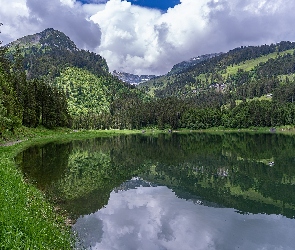 Las, Voralpsee, Jezioro, Szwajcaria, Alpy, Góry, Kanton Sankt Gallen, Drzewa