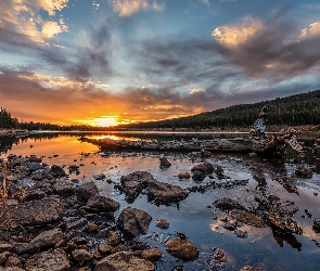 Stany Zjednoczone, Teren rekreacyjny Brainard Lake, Red Rock Lake, Kolorado, Kamienie, Chmury, Powalony, Pień, Wschód słońca, Jezioro