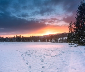 Góry, Zima, Wschód słońca, Śnieg, Ślady, Drzewa, Las