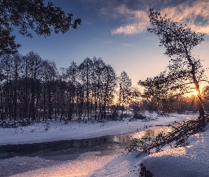 Zima, Śnieg, Rzeka, Drzewa, Promienie słońca