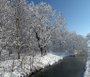 Rzeka, Niebo, Błękitne, Drzewa, Zima