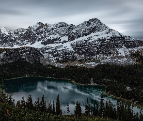 Park Narodowy Yoho, Lake OHara, Kolumbia Brytyjska, Kanada, Drzewa, Canadian Rockies, Góry, Las, Jezioro