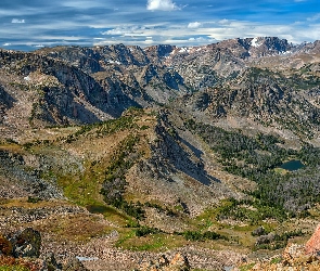 Skaliste, Lasy, Drzewa, Góry