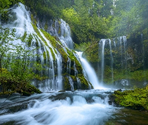 Miejsce chronione, Panther Creek Falls, Stan Waszyngton, Gifford Pinchot National Forest, Wodospad, Stany Zjednoczone, Drzewa