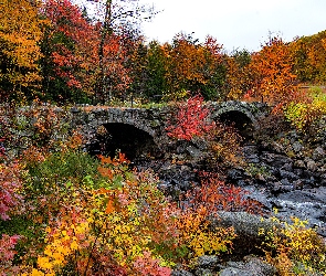 Jesień, Kolorowe, Rzeka, Kamienny, Most, Drzewa