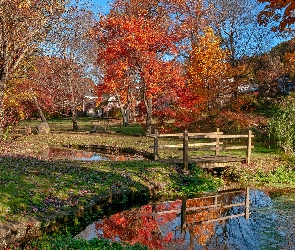 Park, Mostek, Staw, Drzewa, Jesień