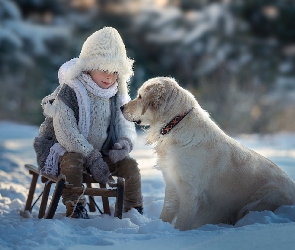 Chłopiec, Zima, Śnieg, Pies, Golden retriever, Sanki