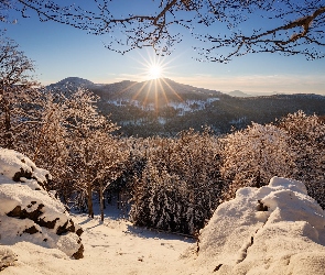 Zima, Gałęzie, Drzewa, Promienie słońca, Góry