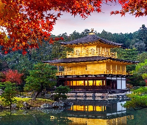 Kioto, Drzewa, Złoty Pawilon, Japonia, Liście, Świątynia Kinkakuji, Staw Kyko chi