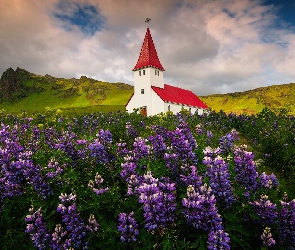 Łąka, Góry, Kościół, Zielone, Gmina Myrdalshreppur, Łubin, Islandia, Miejscowość Vik i Myrdal