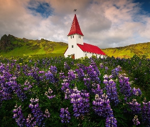 Zielone, Łąka, Kościół, Islandia, Miejscowość Vik i Myrdal, Góry, Gmina Myrdalshreppur, Łubin