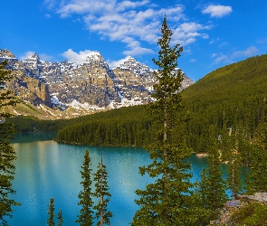 Moraine Lake, Drzewa, Jezioro, Góry, Kanada, Park Narodowy Banff, Świerki, Prowincja Alberta, Las
