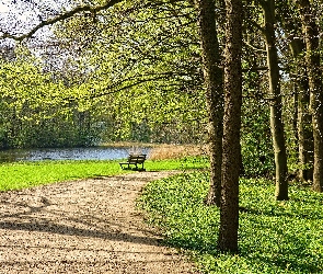 Staw, Ścieżka, Park, Wiosna, Ławka, Drzewa