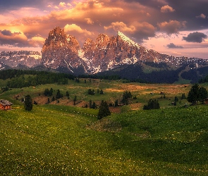 Drewniane, Drzewa, Dolomity, Góry Sassolungo, Włochy, Dolina Val Gardena, Płaskowyż Seiser Alm, Łąki, Domki