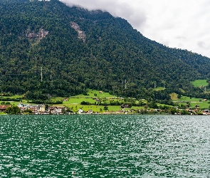Lasy, Góry, Kanton Schwyz, Domy, Jezioro Zugersee, Szwajcaria, Arth