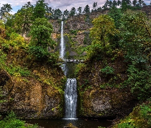 Wodospad, Oregon, Drzewa, Stany Zjednoczone, Hrabstwo Multnomah, Rośliny, Multnomah Falls, Most, Skały