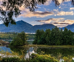 Góry, Rośliny, Drzewa, Jezioro