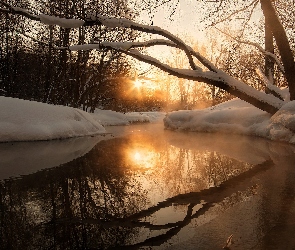 Rzeka, Promienie słońca, Drzewa, Śnieg, Zima