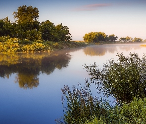 Rzeka, Mgła, Trawa, Drzewa, Krzewy, Wschód słońca