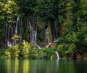 Chorwacja, Drzewa, Park Narodowy Jezior Plitwickich, Wodospady, Plitvice