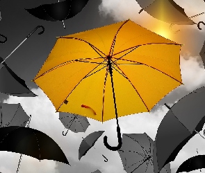 Parasolki, Żółta, Czarne, Szare
