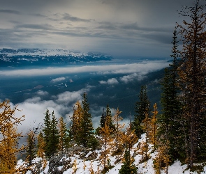 Góry, Śnieg, Mgła, Drzewa, Dolina