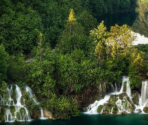 Rośliny, Jezioro, Plitwice, Drzewa, Wodospady, Chorwacja, Park Narodowy Jezior Plitwickich