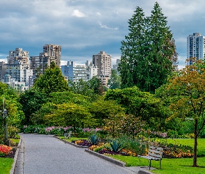 Stanley Park, Vancouver, Kanada, Domy, Drzewa, Alejki, Ławka, Park
