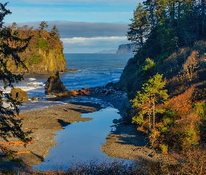 Stan Waszyngton, Stany Zjednoczone, Plaża Ruby Beach, Drzewa, Morze, Jesień, Park Narodowy Olympic