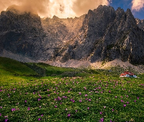 Kwiaty, Masyw Picos de Europa, Góry Kantabryjskie, Hiszpania, Dom, Łąka, Asturia, Polana