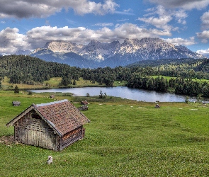 Chmury, Drzewa, Jezioro Geroldsee, Polana, Lasy, Niemcy, Góry, Bawaria, Pies, Alpy Bawarskie, Domki