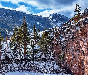 Skały, Góry, Kazachstan, Sosny, Śnieg, Park Narodowy Karkaraly, Drzewa