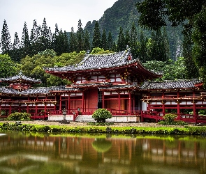 Stany Zjednoczone, Drzewa, Byodo-In, Góry, Replika, Świątynia, Hawaje, Wyspa Oahu, Budowla