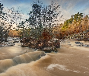 Dom, Skarpa, Rzeka, Drzewa