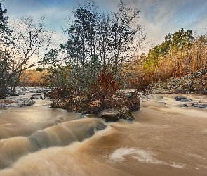 Rzeka, Dom, Skarpa, Drzewa