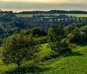 Roślinność, Drzewa, Most, Wzgórza, Pola, Łąki