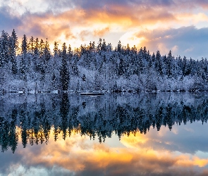 Szwajcaria, Cresta Lake, Odbicie, Kanton Gryzonia, Drzewa, Las, Zima, Wschód słońca, Jezioro, Chmury