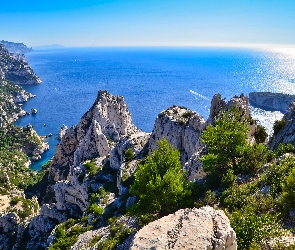 Morze Śródziemne, Drzewa, Skały, Park Narodowy Calanques, Francja