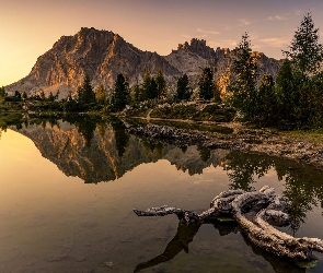 Drzewa, Lago Limides, Góry, Konar, Jezioro, Włochy, Dolomity
