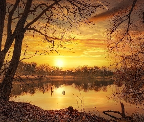 Zachód słońca, Jesień, Drzewa, Odbicie, Jezioro