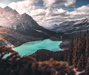 Peyto Lake, Lasy, Jezioro, Park Narodowy Banff, Kanada, Chmury, Drzewa, Alberta, Góry Skaliste