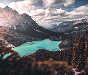 Park Narodowy Banff, Alberta, Drzewa, Kanada, Chmury, Lasy, Jezioro, Peyto Lake, Góry Skaliste