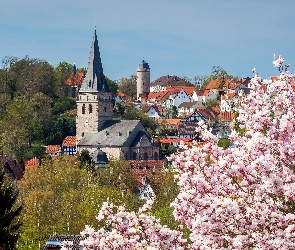 Niemcy, Drzewa, Kościół, Wiosna, Domy, Magnolia, Nadrenia Północna-Westfalia, Miasto Warburg, Kwitnąca