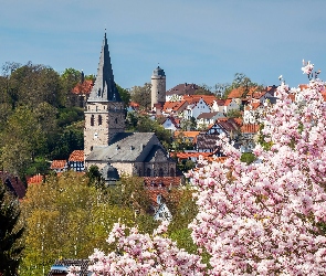 Miasto Warburg, Magnolia, Nadrenia Północna-Westfalia, Niemcy, Wiosna, Domy, Kościół, Drzewa, Kwitnąca