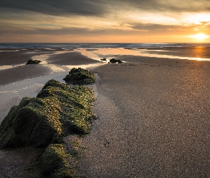 Kamienie, Słońce, Morze, Wodorosty, Plaża