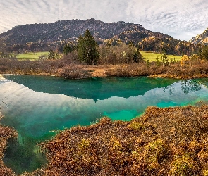 Rezerwat przyrody Zelenci, Góry, Kranjska Gora, Słowenia, Chmury, Drewniany, Lasy, Pomost, Jezioro Zelenci